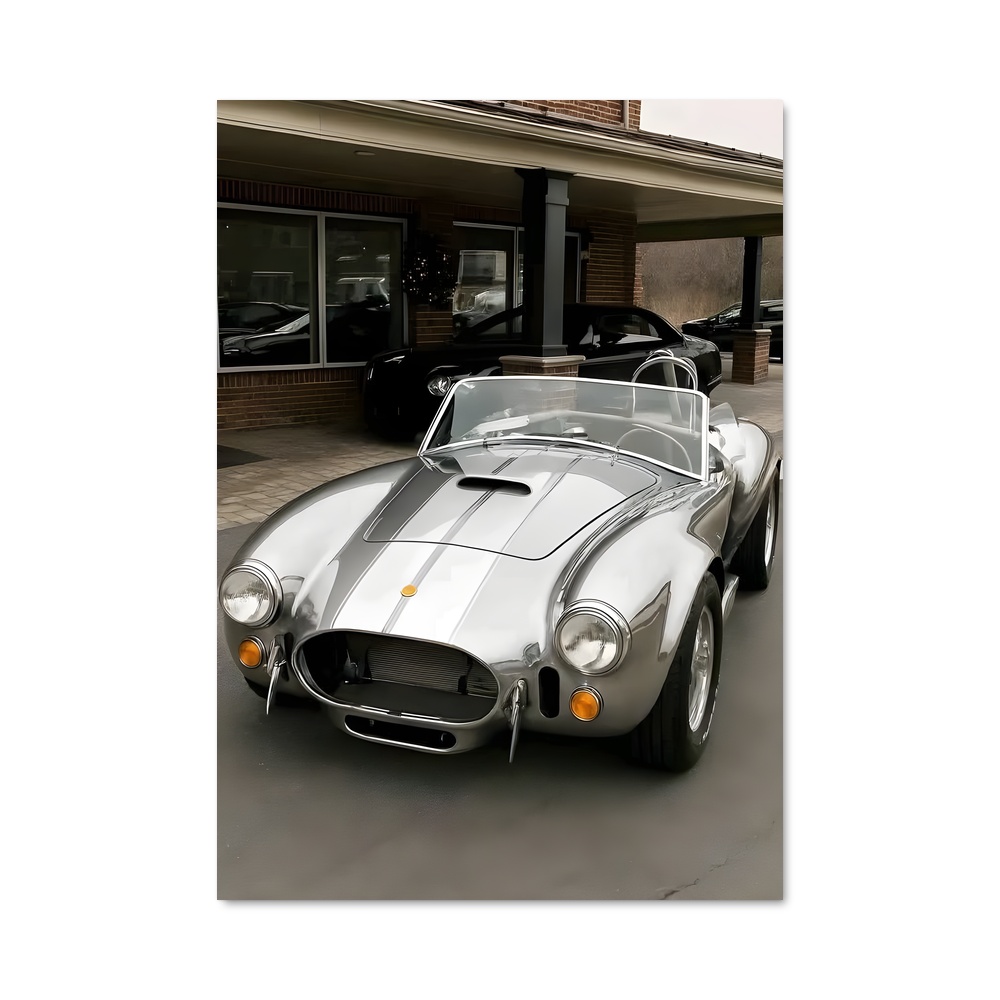 Poster Cobra Élite